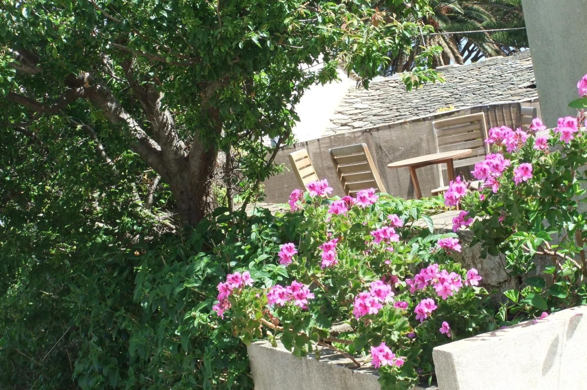 Sisco Hotel U Pozzu מראה חיצוני תמונה